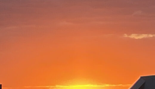 【スタッフブログ】なんでもない今日が、いちばんの宝物